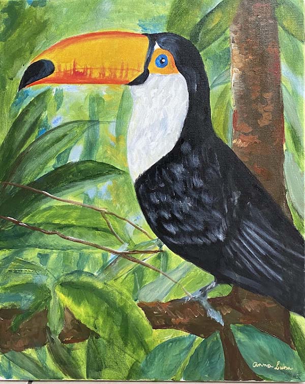 Tucano - 40 x 50 - Ast